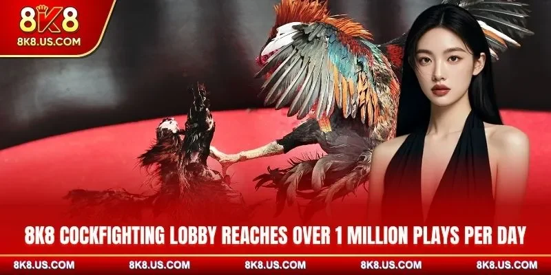 8K8 cockfighting lobby reaches over 1 million plays per day