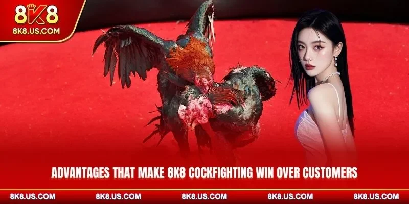 Advantages that make 8K8 cockfighting win over customers
