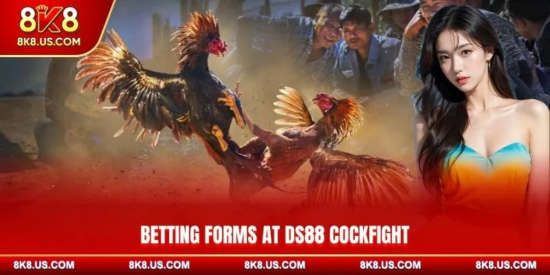 Betting forms at DS88 Cockfight at 8K8
