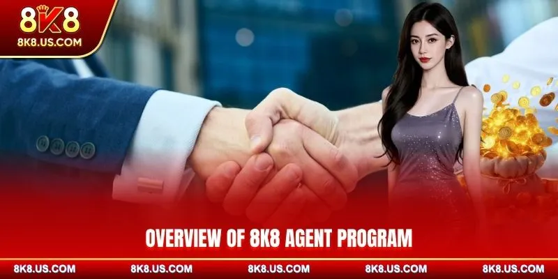 Overview of 8K8 agent program
