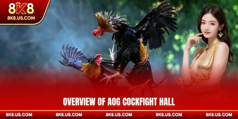 Overview of AOG Cockfight hall
